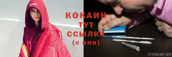 стаф Надым