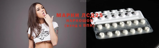 стаф Надым