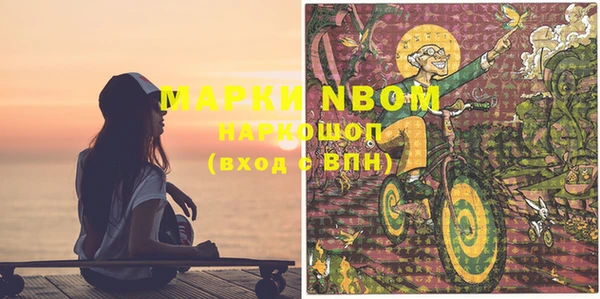 стаф Надым