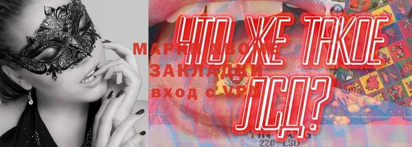 стаф Надым