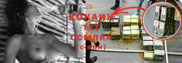 стаф Надым