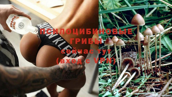 стаф Надым