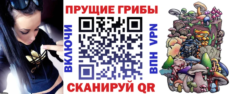 Псилоцибиновые грибы мухоморы  закладка  Томск 